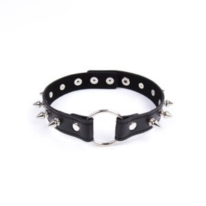 Dog Leash Collar